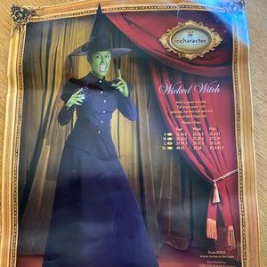Adult wicked witch of the west costume, never worn, kept in garment bag